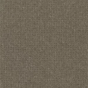 candlebark carpet