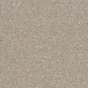 sandbar carpet
