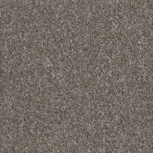 shorebird carpet