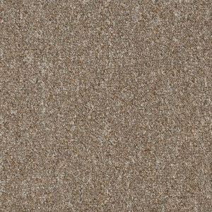 spice carpet