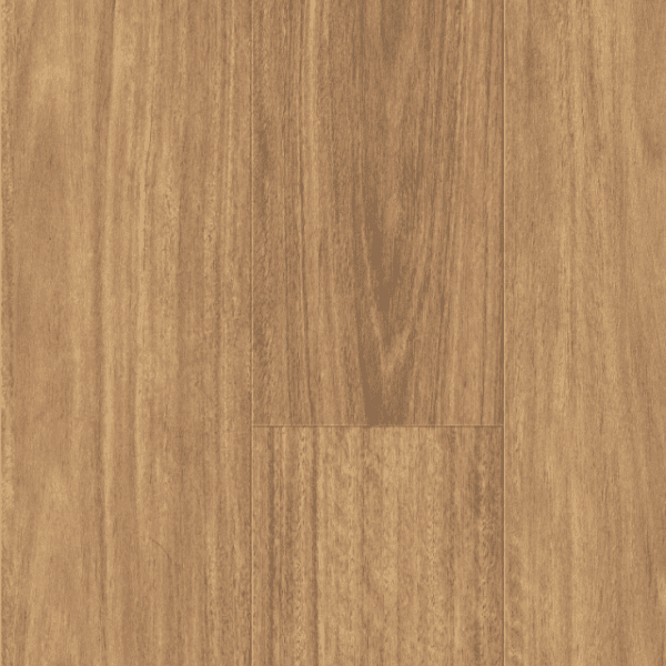 Spotted Gum 8mm