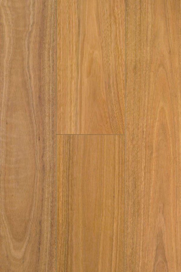 Spotted Gum Herringbone 12mm