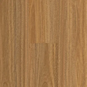 Spotted Gum 12mm